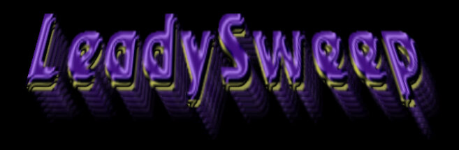 leadysweep